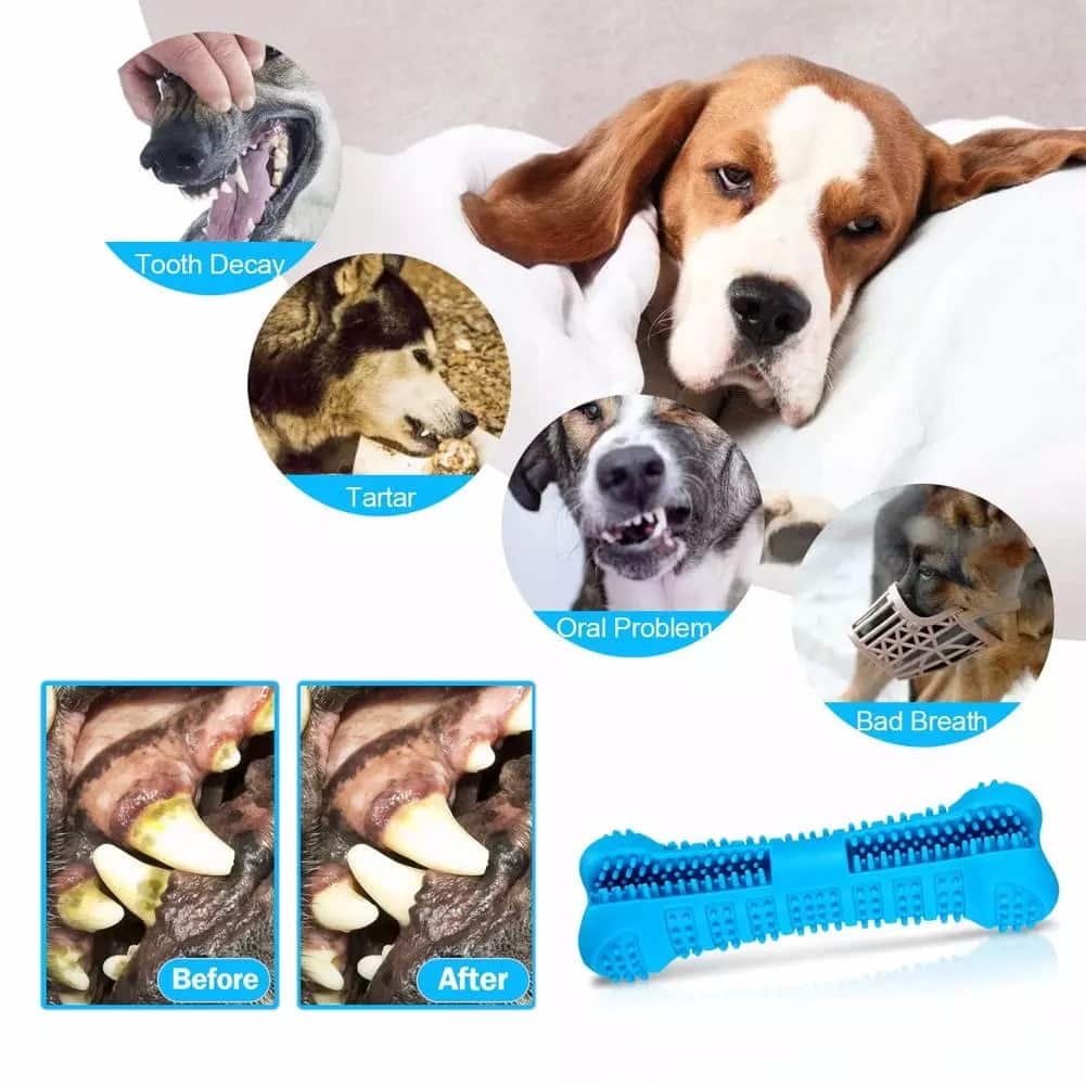 dog toothbrush rubber toy natural pet dental care brushing stick 4