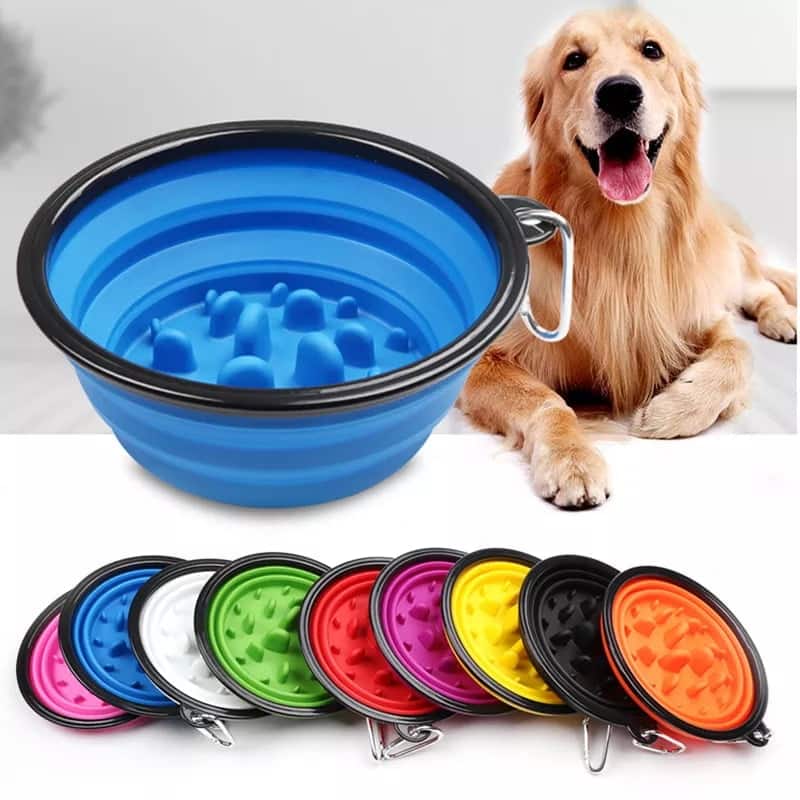 flodable pet bowl slow feeder with buckle 2