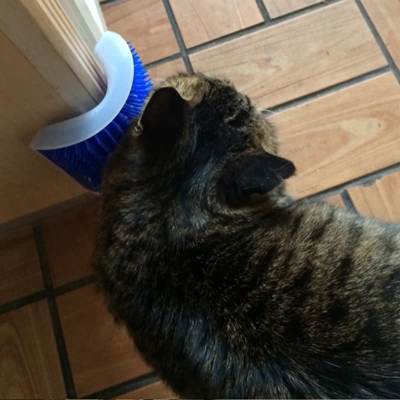 Cat self groomer Brush - Interactive Cat Scratcher Corner Toy