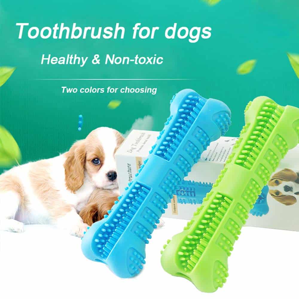 dog toothbrush rubber toy natural pet dental care brushing stick 2
