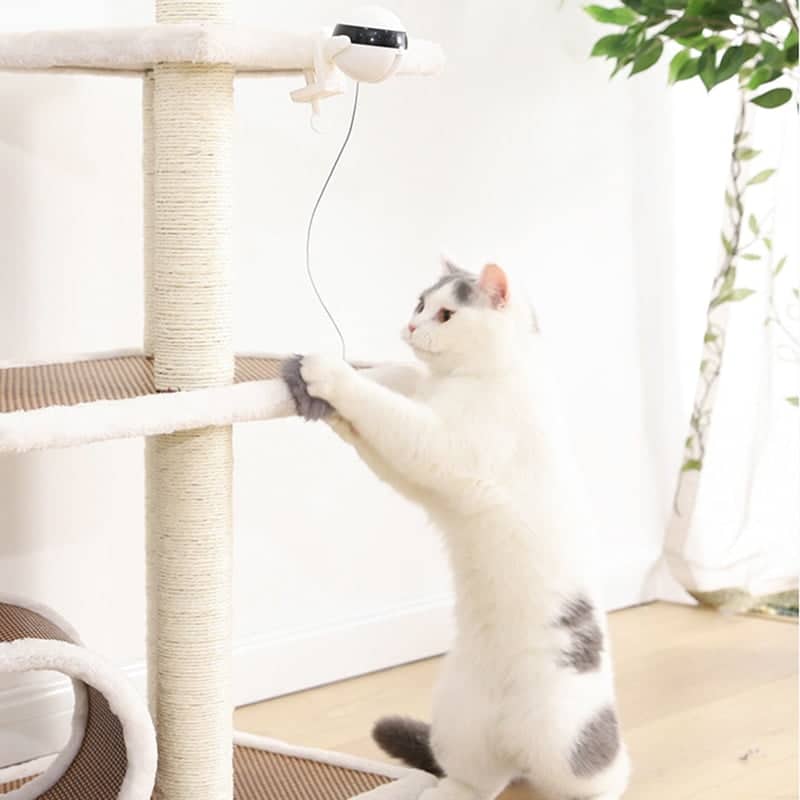 Interactive Cat Toy - Automatic Lifting Cat Ball Teaser