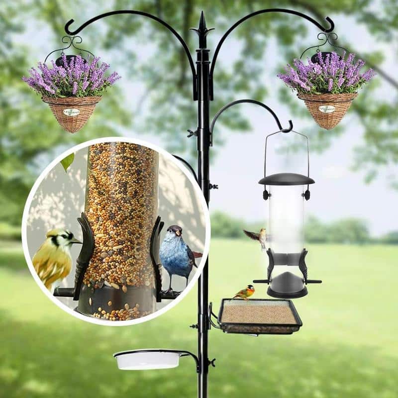 squirrel proof bird feeder hanging cage seed outdoor 5