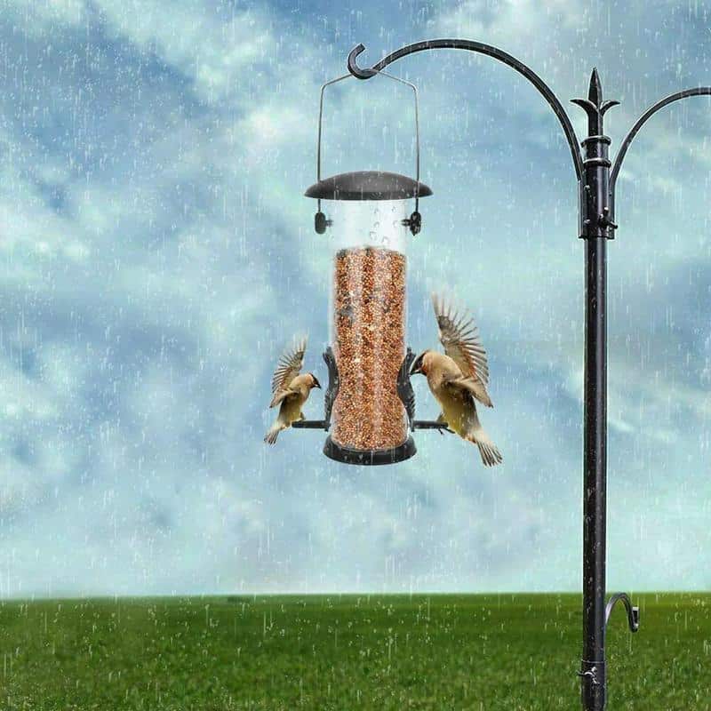 squirrel proof bird feeder hanging cage seed outdoor 6