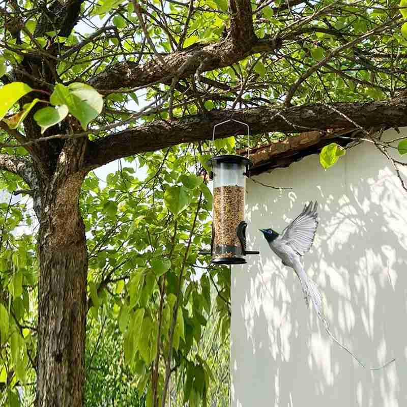 squirrel proof bird feeder hanging cage seed outdoor 9